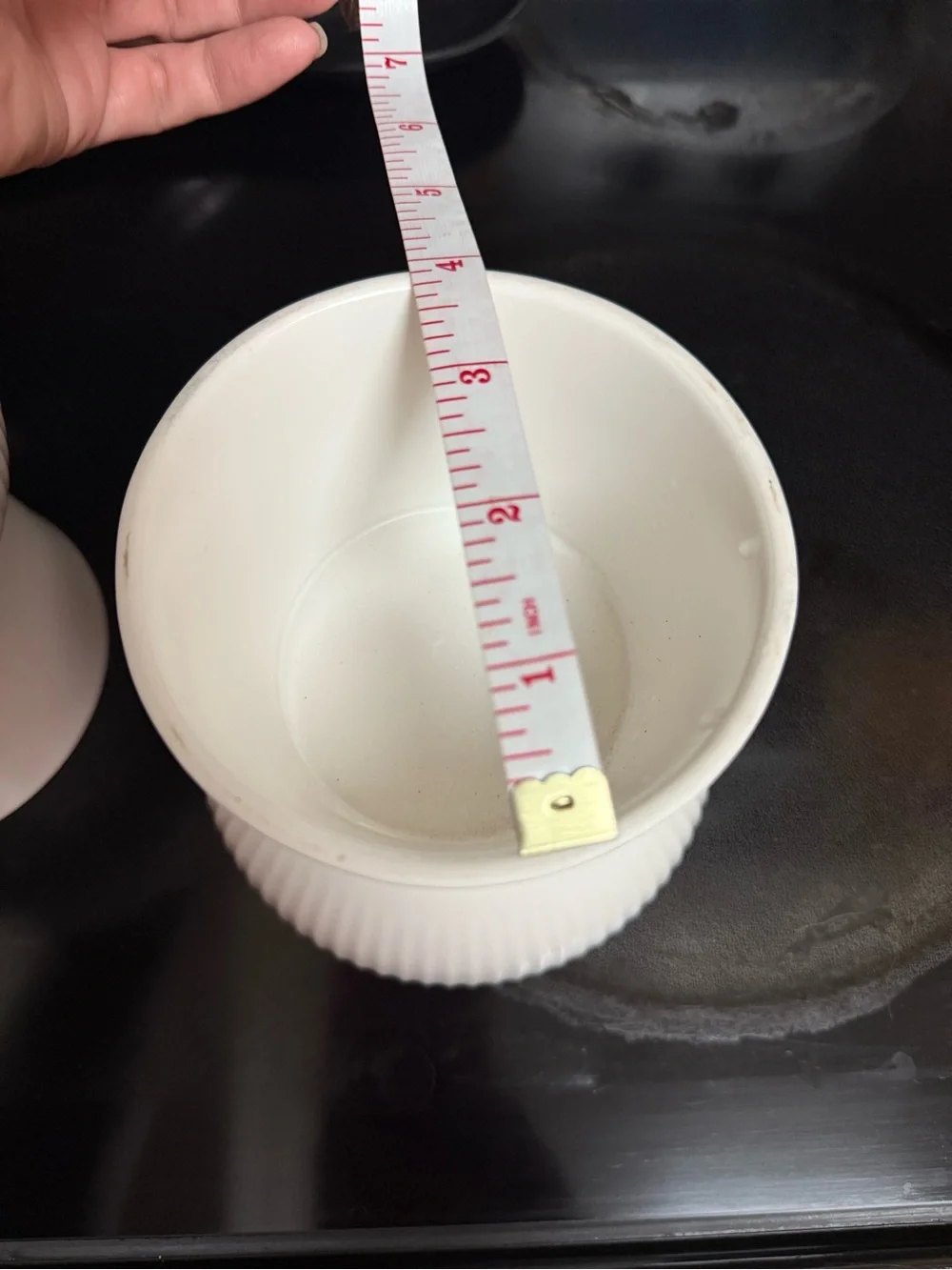 White Ceramic Fishbone Pet Food and Water Bowl - Set of 2
